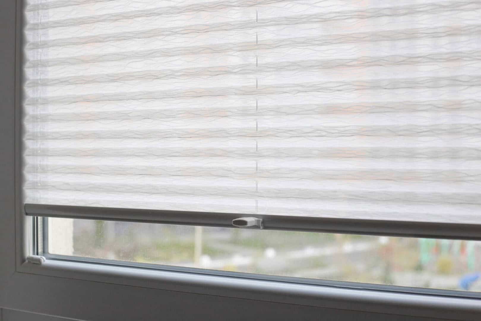 Pleated Blinds